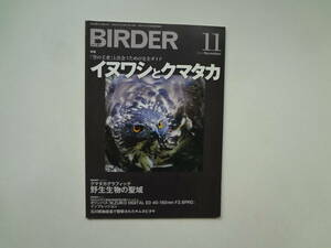 031-e11【匿名配送・送料込】　バーダー　11　2014.11　イヌワシとクマタカ