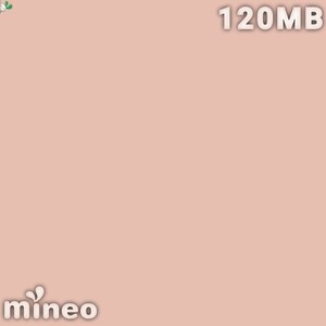“mineo”『マイネオ パケットギフト 120MB』匿名 即決 送料無料 折り返し評価 リピOK 制限OFF『Amber Rose』画像データ HEX[#e6bfb2]/Ⅰ