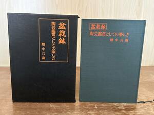 ☆盆栽鉢・陶芸鑑賞としての楽しさ・畑中兵衛