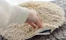 あったかペット用ホットカーペット 電熱ヒーター　洗えるソファ　犬猫 USBコード　ベージュ☆_画像6
