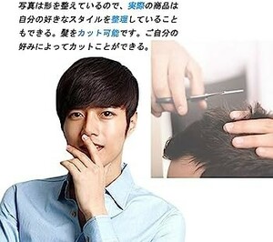 Dreambeauty　男性用フルウィッグ　ストレート 医療用かつら