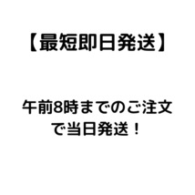 ルシード 白髪用整髪フォーム グロス&ハード 185g 2個セット_画像3