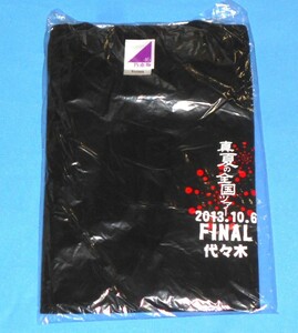 Y56/乃木坂46 真夏の全国ツアー2013 FINAL 代々木限定 ツアーTシャツ Lサイズ