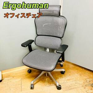 Ergohuman エルゴヒューマン ワークチェア JOIFA802 メッシュ デスクチェア 【1円スタート！動作確認済み！】SI5030－家C