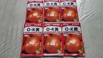 OK黄 O・K黄 オーケー 玉ねぎ タマネギ 種子 合計６袋セット 3828円分 郵便は送料無料_画像1