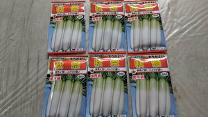 大根 秋祭 徳用袋 ダイコン 種子 合計６袋セット 3960円分 郵便は送料無料