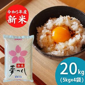 新米夢つくし 20kg(5kg×4) 令和5年《リピーター様多数》厳選米 福岡県産 白米 美味しい お米 安い 人気ナンバーワン