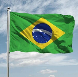 値下げしました~ブラジルの国旗x