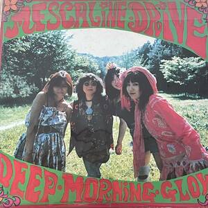 MESCALINE DRIVE メスカリン・ドライヴ[DEEP MORNING GLOW]LP(1988年)ソウルフラワーユニオン soul flower union newest model