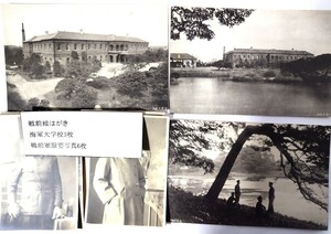 戦前絵はがき海軍大学校 3枚+戦前軍服姿写真6枚