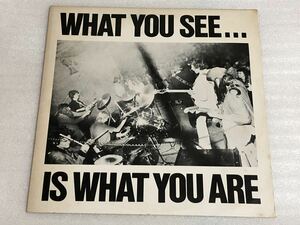 alternative tv / what you see … is what you are 検索 good vibration killed by death ramones clash damned sex pistols パンク天国