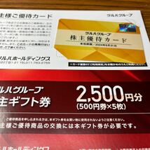 ツルハホールディングス 株主優待 ギフト券2500円分 + 優待カード_画像1