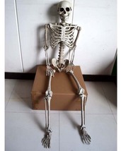 等身大骸骨 全身骨格模型 人体模型 170cm ディスプレイ インテリア オブジェ ドクロ スカル 死神 マネキン 機能性 動く関節_画像1