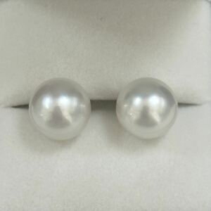 K18 south . White Butterfly pearl earrings natural color book@ pearl 