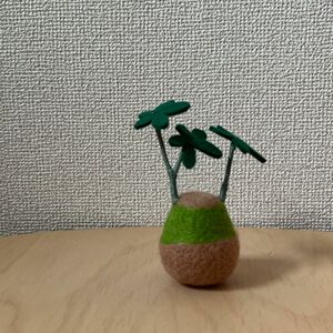 羊毛フェルト　アデニアグラウカ　ハンドメイド