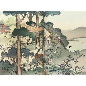 hana_desu15 真作 ちりめん本 Fables Choisies de Florian 明治28年(1895)本物 浮世絵 木版画 錦絵 縮緬 半古 友信 crepon ukiyoe