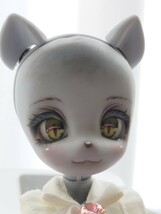 〈ヒカリ〉 20cm 創作球体関節人形 創作人形 TinyHermit20 ＋おまけの服_画像10