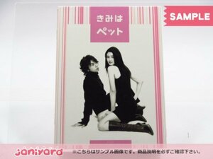 嵐 松本潤 DVD きみはペット DVD-BOX(5枚組) 長野博 [難小]