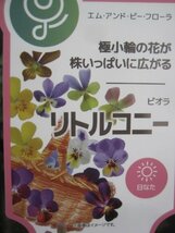 極小輪ビオラ苗　リトルコニー　『夜空ノムコウ』　3個セット　花色おまかせ　10.5CMポット_画像5