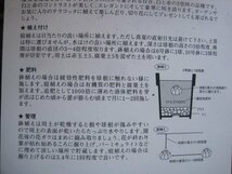 ユリの球根　『トリコロール』　１球　とても目立つ花模様　オリエンタルリリー_画像3