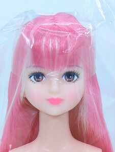 シオン S1 Shion おたのしみドール リカちゃんキャッスル リトルファクトリー Licca Castle Jenny Little Factory Figureg Doll ESC