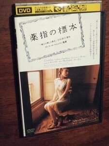 ◎DVD「薬指の標本」オルガ・キュリレンコ/マルク・バルベ　小川洋子・原作　R落