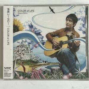 ★★　未使用品　★★　押尾コータロー　/　COLOR of LIFE　★★　CDアルバム　美品　★★ 　　　HD-420