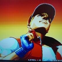 MVS　餓狼伝説3　SNK　NEOGEO　ROM　動作確認済み_画像7