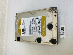 1TB 3.5 インチ SATA HDD WD GOLD 128MB CACHE WD1005FBYZ 3.5 インチ 1000GB HDD ハードディスク 7200RPM中古 使用時間40889時間