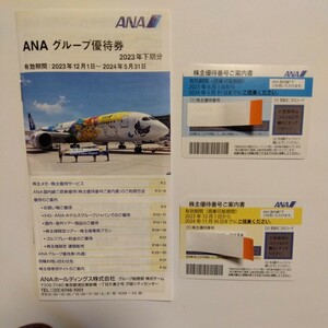 ANA　株主優待券2枚　2024年5月31日まで1枚　2024年11月30日まで1枚