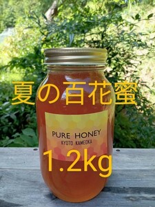 国産 純粋 蜂蜜 生はちみつ 1.2kg　夏蜜　