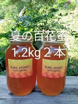 国産 純粋 蜂蜜 はちみつ 1.2kg２本　８月蜜　京都産_画像1