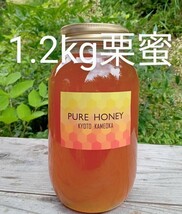 国産 純粋 蜂蜜 はちみつ 1.2kg　栗蜜　京都産_画像1