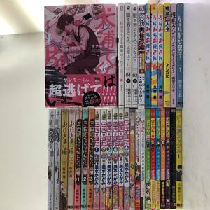 【34冊セット】大判コミック まとめ/犬浦くんは片重い/三白眼ちゃんは伝えたい/おじさまと猫/けいおん/理系クン/ゲーム脳カップル等