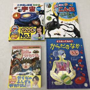 美品【４冊セット】小学生向 図鑑等 まとめ/DVD付)小学館の図鑑NEO 宇宙[新版]/地震のサバイバル/なぜなぜ？こん虫ふしぎ図鑑等