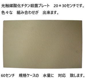 臭い亀　金魚　メダカ　対応 強力殺菌し　臭いを　軽減　光触媒酸化チタン殺菌プレート 　20＊30センチ　　1