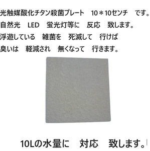 臭い亀　対応 強力殺菌し　臭いを　軽減　光触媒酸化チタン殺菌プレート 　10ｘ10センチ　　14