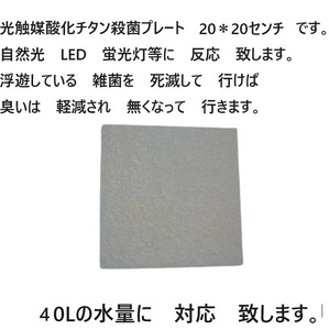 臭い亀　金魚　メダカ　対応 強力殺菌し　臭いを　軽減　光触媒酸化チタン殺菌プレート 　20＊20センチ　　2