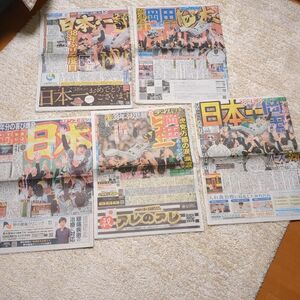 阪神 タイガース日本一関西五紙スポーツ新聞 