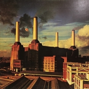 【コピス吉祥寺】PINK FLOYD/ANIMALS(SHVL815)