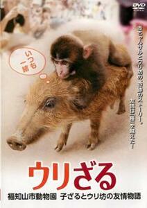 ウリざる 福知山市動物園 子ざるとウリ坊の友情物語 レンタル落ち 中古 DVD ケース無