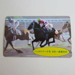  is kou March number Japan one ream . memory telephone card unused horse racing Kochi horse racing 