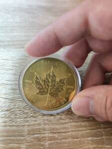 エリザベスメープル　コイン　外国大型記念硬貨