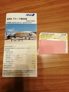 ANA 冊子 全日空 ANA株主優待　株主優待割引券 1枚