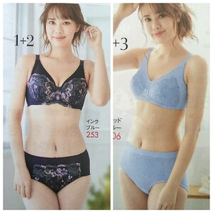 下着カタログOL服 プランプ plump 2021真冬 ランジェリー ショーツ ブラジャー インナー★送料185円*g-2