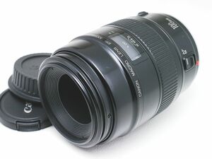 試写あり【実用良品】 Canon キャノン EF 100mm F2.8 MACRO 本格マクロ 35mm フルサイズ