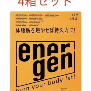 エネルゲン 1L用 粉末 パウダー 5袋×4箱セット 合計20袋 大塚製薬 新品 送料無料 賞味期限2024年10月以降 匿名配送の画像1