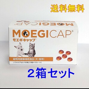 モエギキャップ 100粒 ×2箱セット☆新品・全国一律送料無料☆の画像1