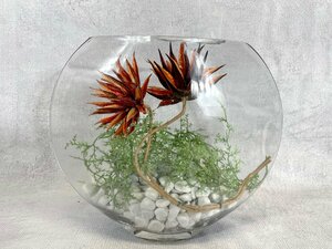 【福岡】インテリア雑貨 人工観葉植物＆器◆W300 H260 D90◆モデルR展示品◆TS5588_Ts