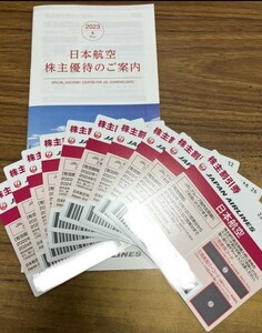 １０枚★日本航空 JAL 株主優待券★2024年5月31日まで★割引券冊子付